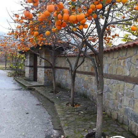 Luxury Paradise Kastoria *